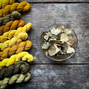 Birkenblätter geschnitten