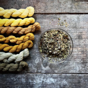 Walnussblätter geschnitten